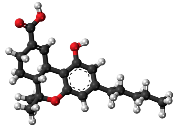 THC - the most infamous of hemp molecules, and why I got into being a hemp writer